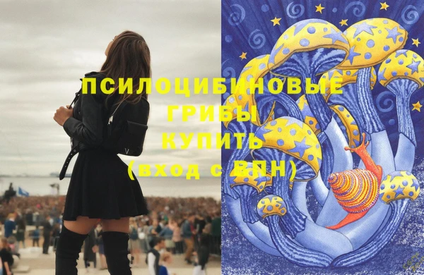марки nbome Кодинск